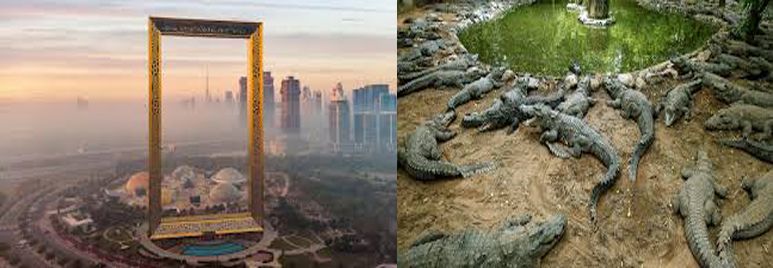 Dubai-Frame-Crocodile-Park